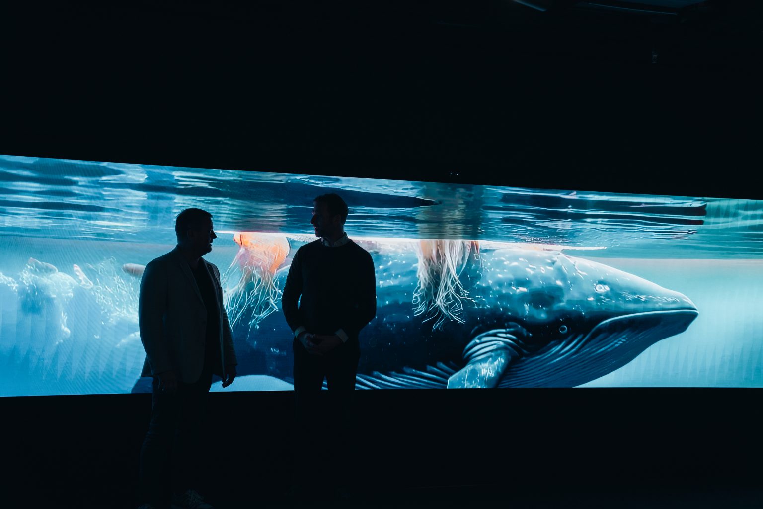 Display solutjon from Cyviz for Microsoft Immersive suite